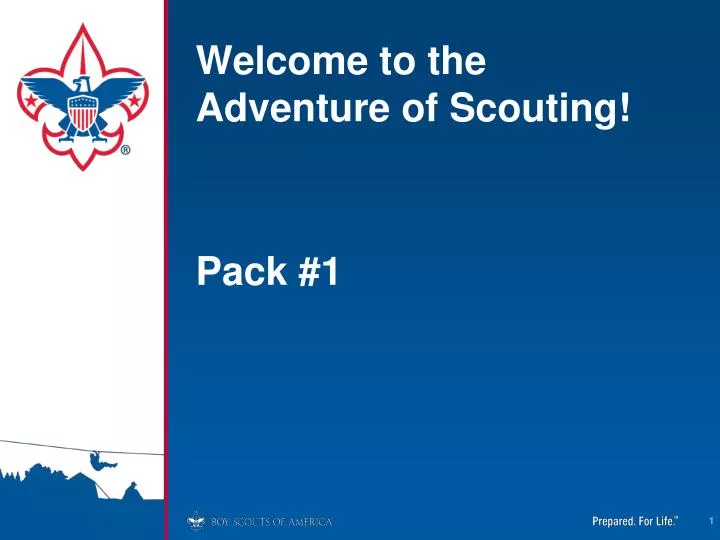 welcome to the adventure of scouting