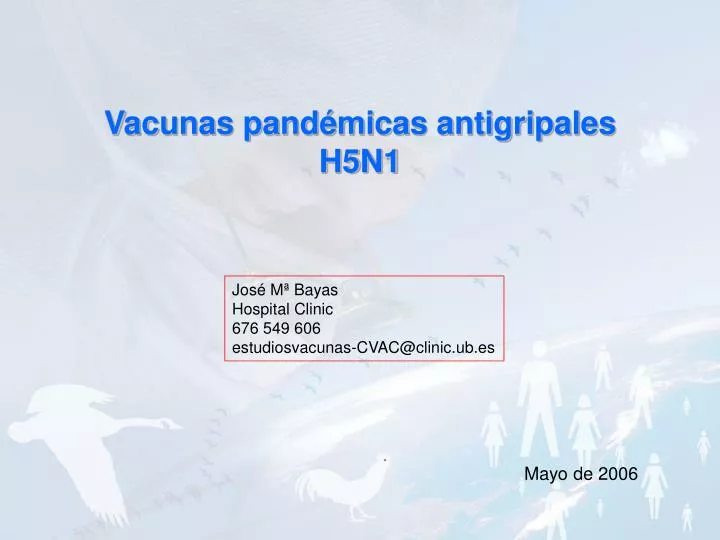 vacunas pand micas antigripales h5n1