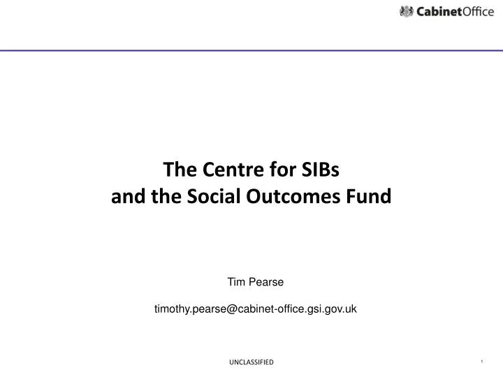 the centre for sibs and the social outcomes fund
