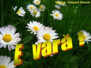 muzica edward simoni