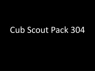 Cub Scout Pack 304