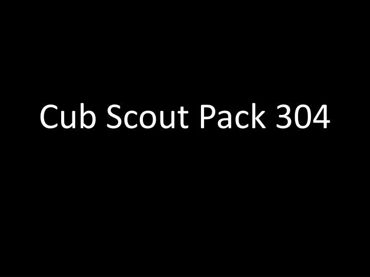 cub scout pack 304