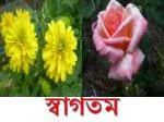 স্বাগতম - slide 1