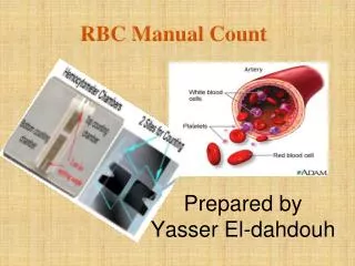 RBC Manual Count
