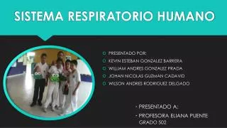 sistema respiratorio humano