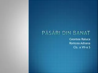 p s ri din banat