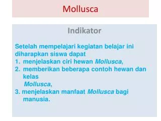 mollusca