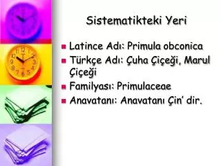 sistematikteki yeri
