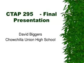 CTAP 295	- Final Presentation