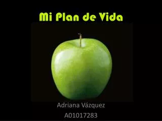 mi plan de vida