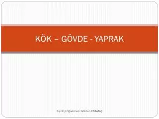 k k g vde yaprak