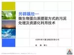 另辟蹊径 — 微生物蛋白质提取方式的污泥处理及资源化利用技术 - slide 1