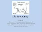 Life Boot Camp - slide 1