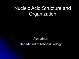 Nucleic Acid Structure and Organization