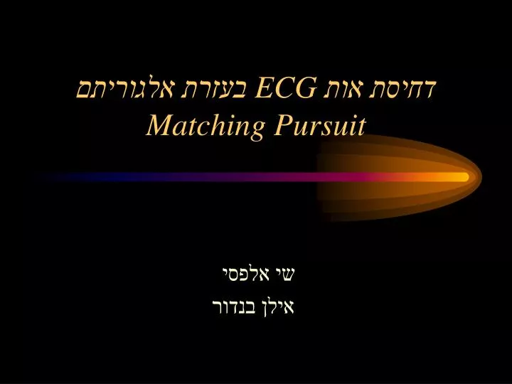 ecg matching pursuit