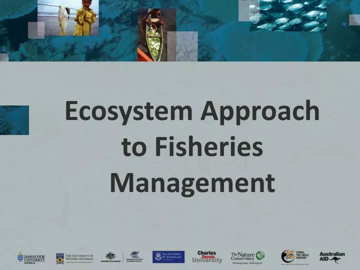 ecosystem approach to fisheries management