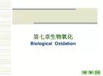 第七章 生物氧化 Biological Oxidation - slide 1