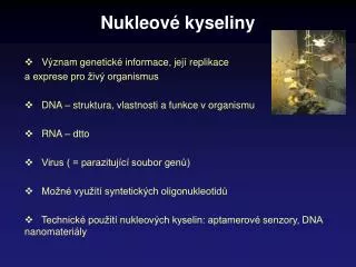 nukleov kyseliny