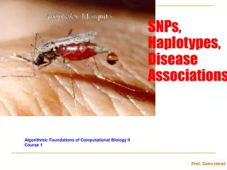 SNPs, Haplotypes, Disease Associations