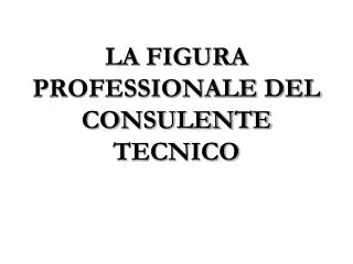 la figura professionale del consulente tecnico