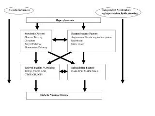 Genetic Influences Independent Accelerators 							eg hypertension, lipids, smoking