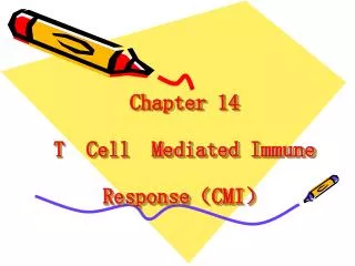 Chapter 14 T Cell Mediated Immune Response ? CMI ?