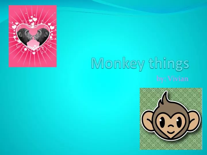 monkey things