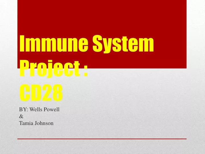 immune system project cd28