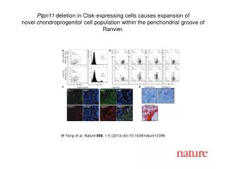 W Yang et al. Nature 000 , 1 - 5 (2013) doi:10.1038/nature 12396