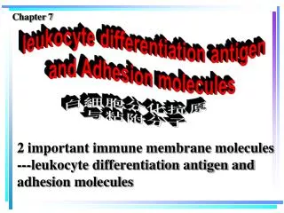 2 important immune membrane molecules ---leukocyte differentiation antigen and adhesion molecules