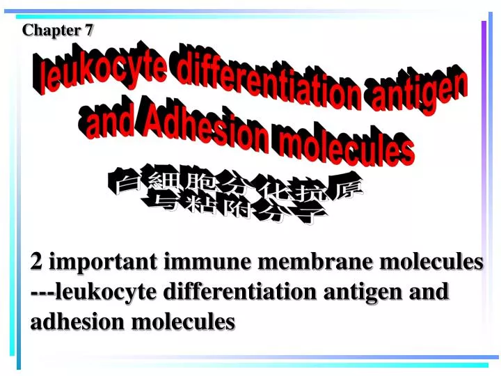2 important immune membrane molecules leukocyte differentiation antigen and adhesion molecules