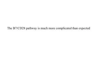 The B7/CD28 pathway is much more complicated than expected
