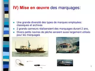 iv mise en uvre des marquages