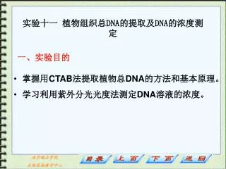 dna dna