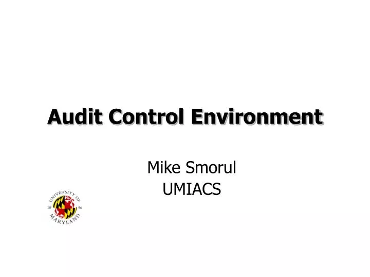 audit control environment