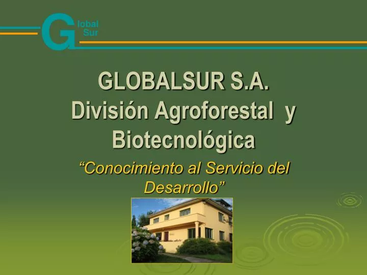 globalsur s a divisi n agroforestal y biotecnol gica