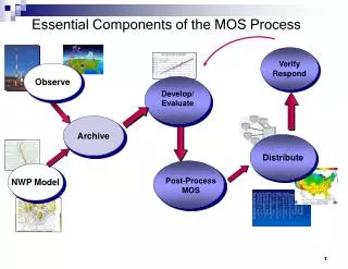 Essential Components of the MOS Process