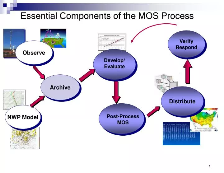 essential components of the mos process