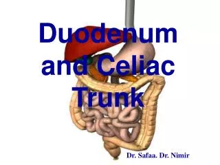 Duodenum and Celiac Trunk Dr. Safaa. Dr. Nimir