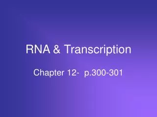 RNA &amp; Transcription