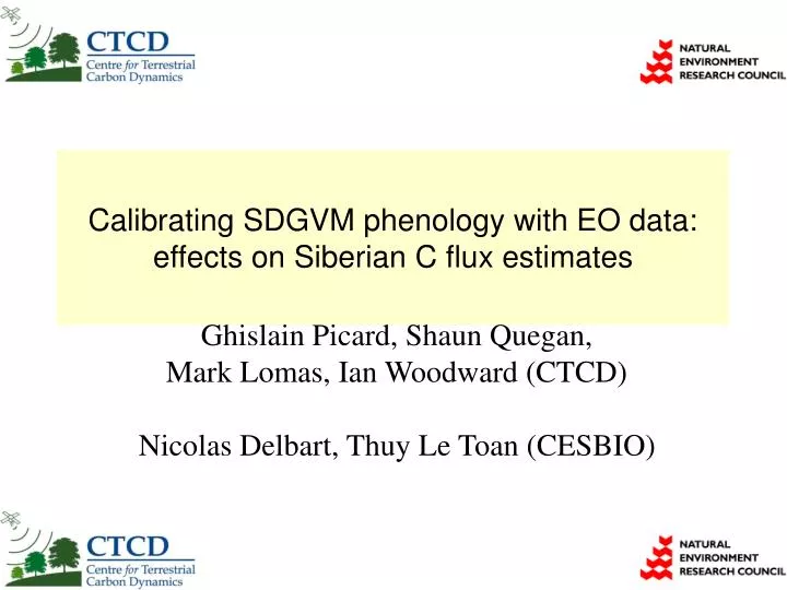 calibrating sdgvm phenology with eo data effects on siberian c flux estimates