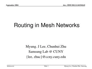 Routing in Mesh Networks