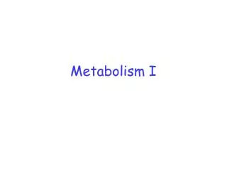 Metabolism I