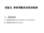 实验五 单核苷酸多态性的检测 - slide 1