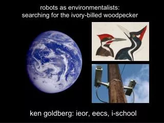 robots as environmentalists: searching for the ivory-billed woodpecker