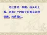 走过任何一条街，抬头向上 看，家家户户的窗子前都是花团 锦簇、姹紫嫣红。 - slide 1