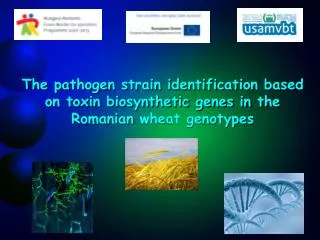 Fungal control DNA