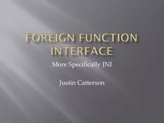 Foreign Function Interface