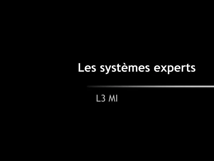les syst mes experts