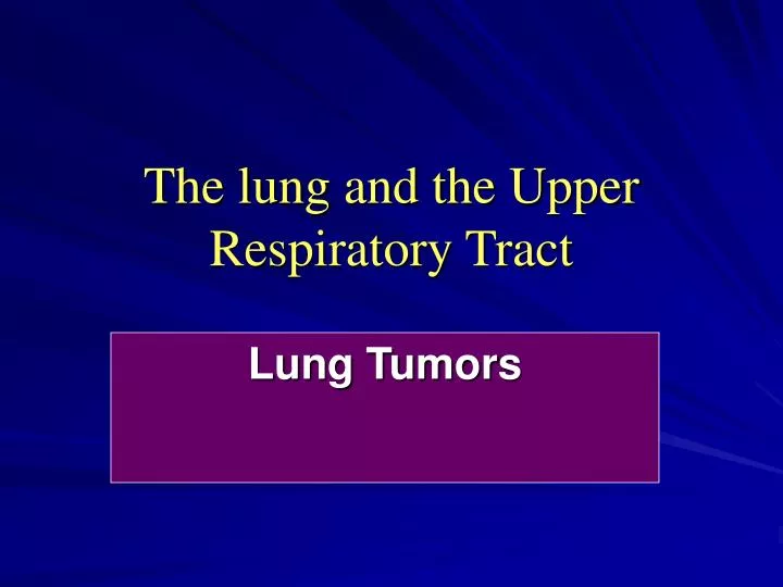 the lung and the upper respiratory tract